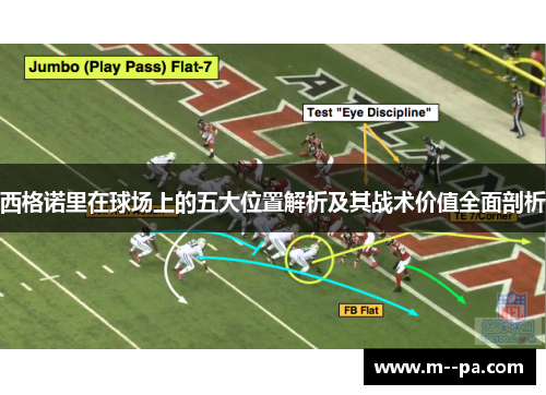 西格诺里在球场上的五大位置解析及其战术价值全面剖析 西格诺里在球场上的五大位置解析及其战术价值全面剖析