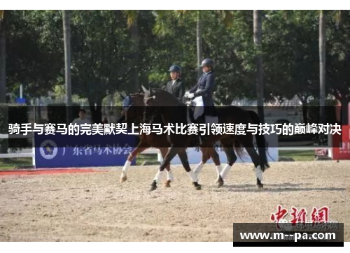 骑手与赛马的完美默契上海马术比赛引领速度与技巧的巅峰对决